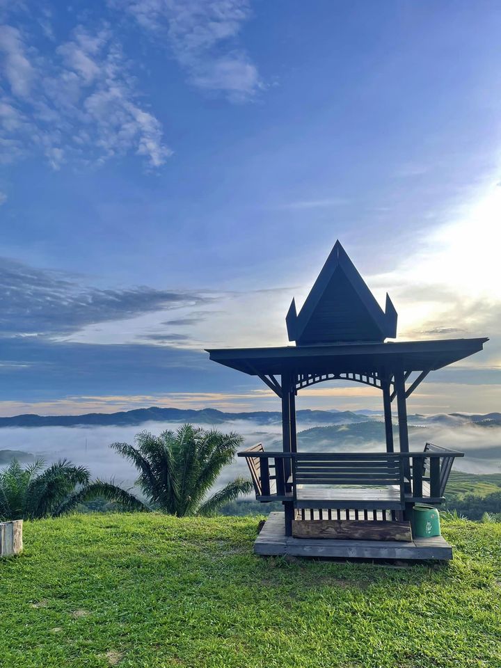 View 1