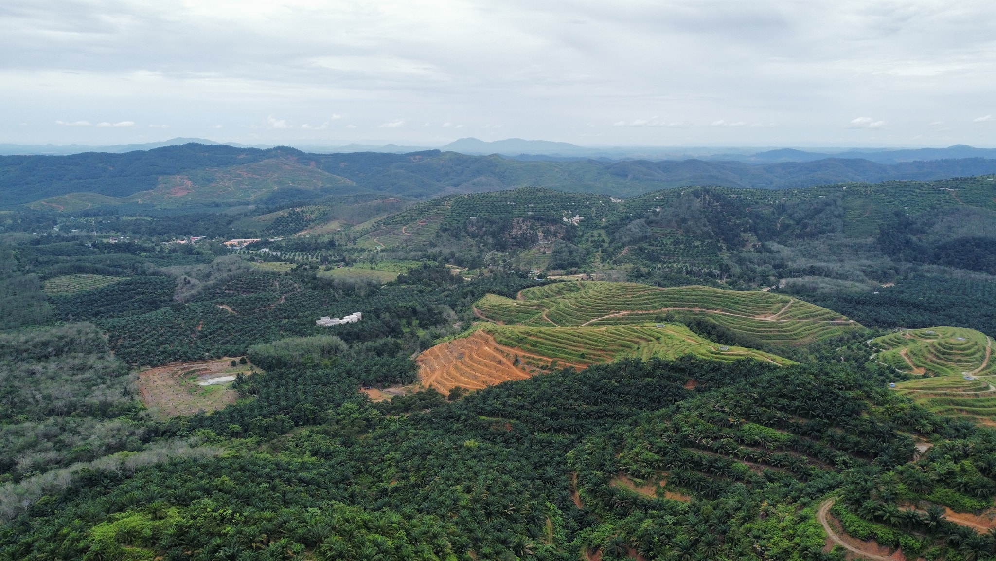 View 12