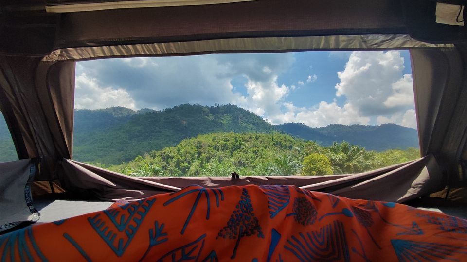 View 3