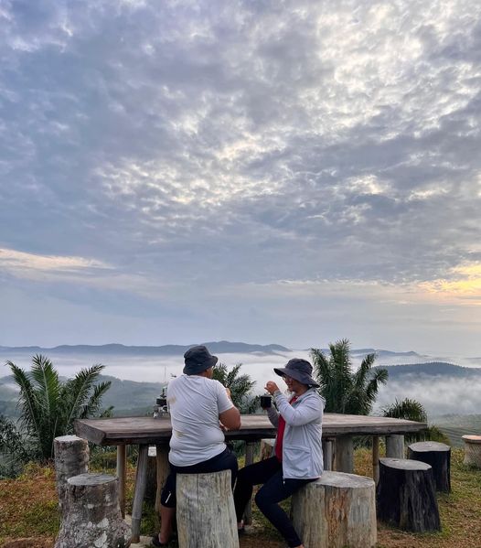 View 26